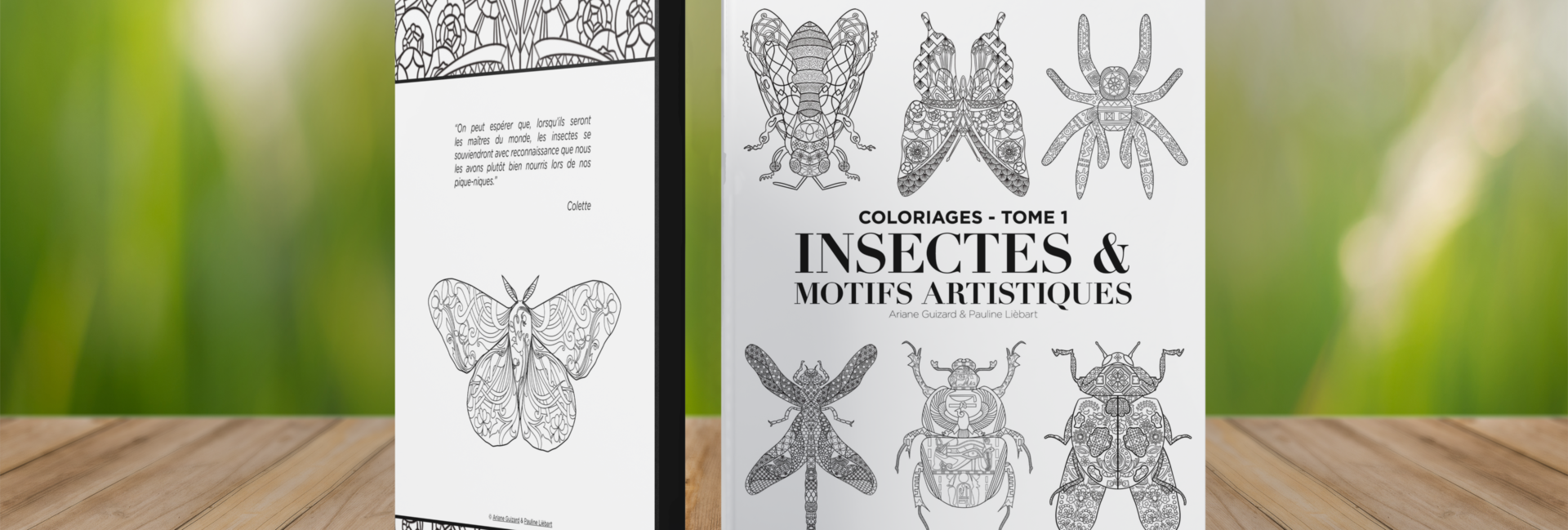 Livret - Insectes et motifs artistique