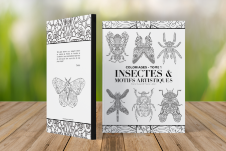 Livret - Insectes et motifs artistique